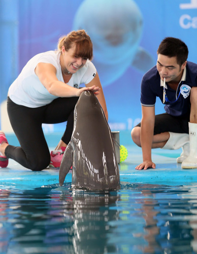 在赛场上的 在赛场上的